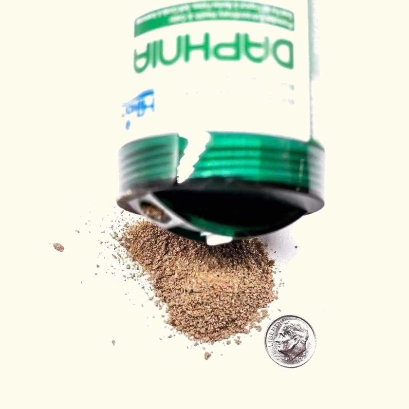 hikari-freeze-dried-daphnia-3286279