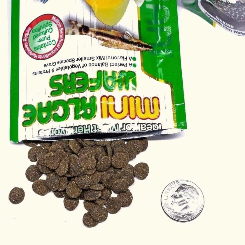 hikari-mini-algae-wafers-6976383