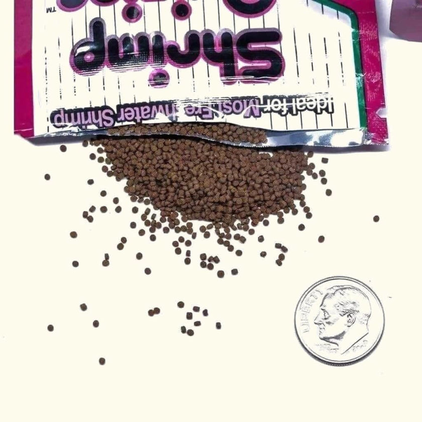 hikari-shrimp-cuisine-7730682