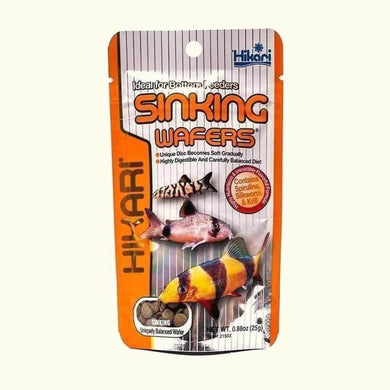 Hikari Fish Food Hikari Sinking Wafers