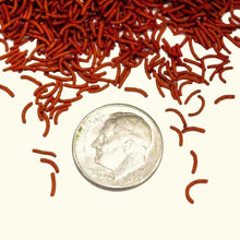 Load image into Gallery viewer, Hikari Vibra Bites - Aquarium Co - Op
