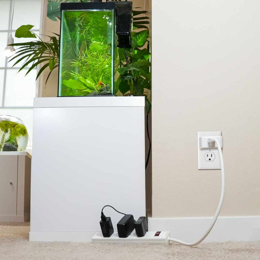 kasa-wifi-light-timer-3815968