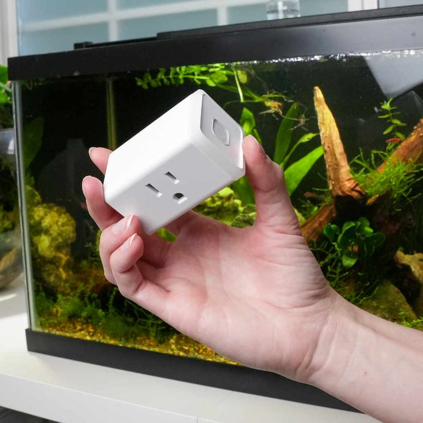 kasa-wifi-light-timer-5113239