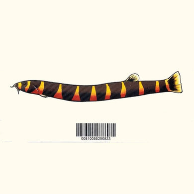 Aquarium Co-Op Merchandise Kuhli Loach Decal Sticker