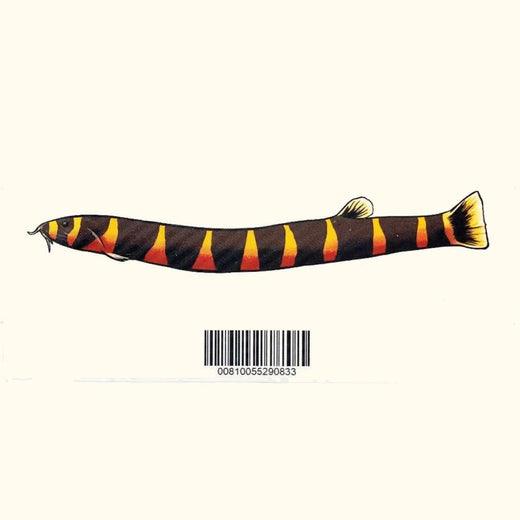 kuhli-loach-decal-sticker-8222386