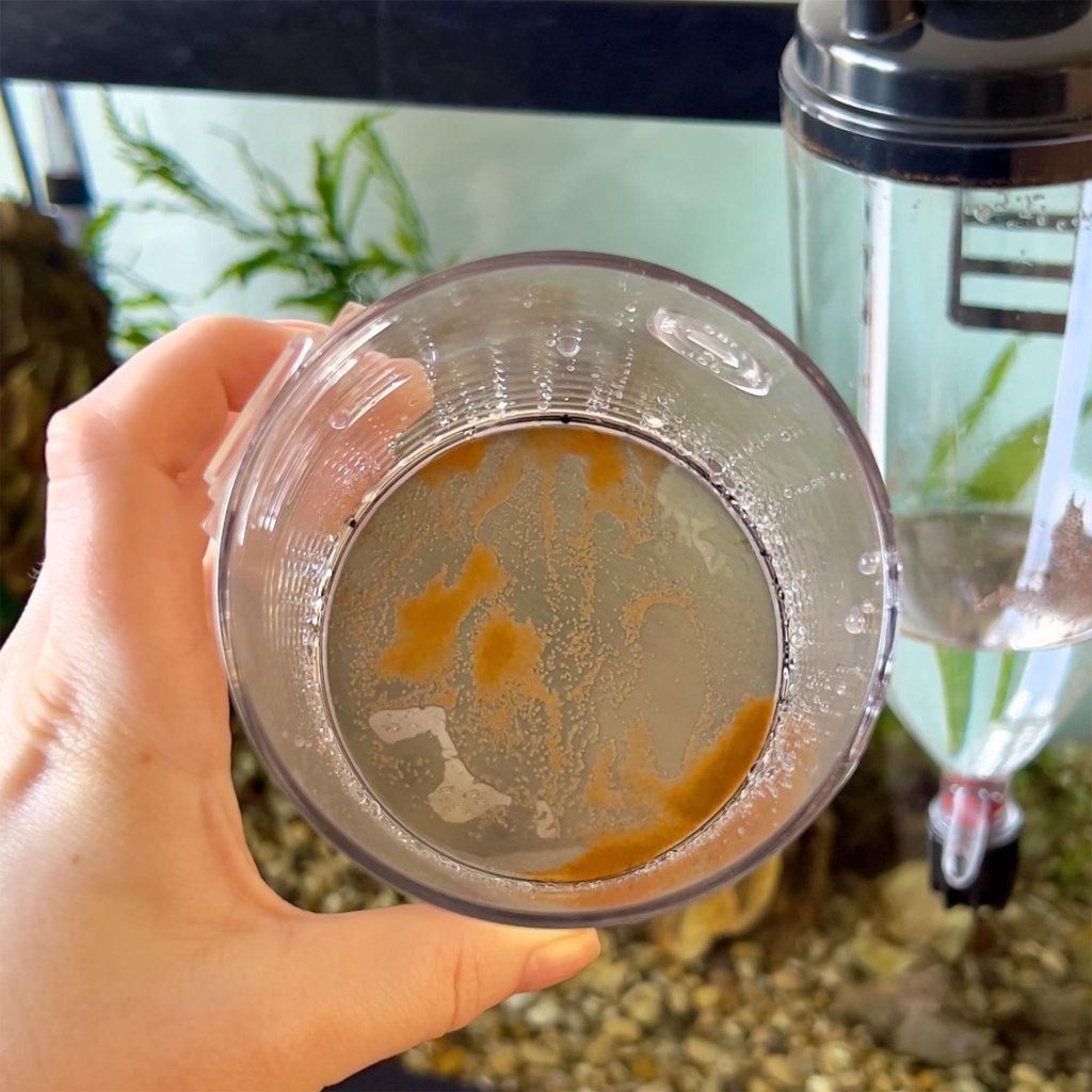 Large Ziss Brine Shrimp Collector Sieve - Aquarium Co-Op