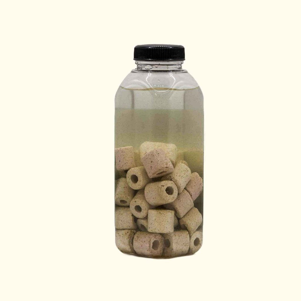 oceanbeawjade girl bacteria OMG3株セット Live Aquarium Bacteria Starter Culture – Aquarium Co-Op