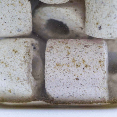 Live Aquarium Bacteria Starter Culture - Aquarium Co - Op