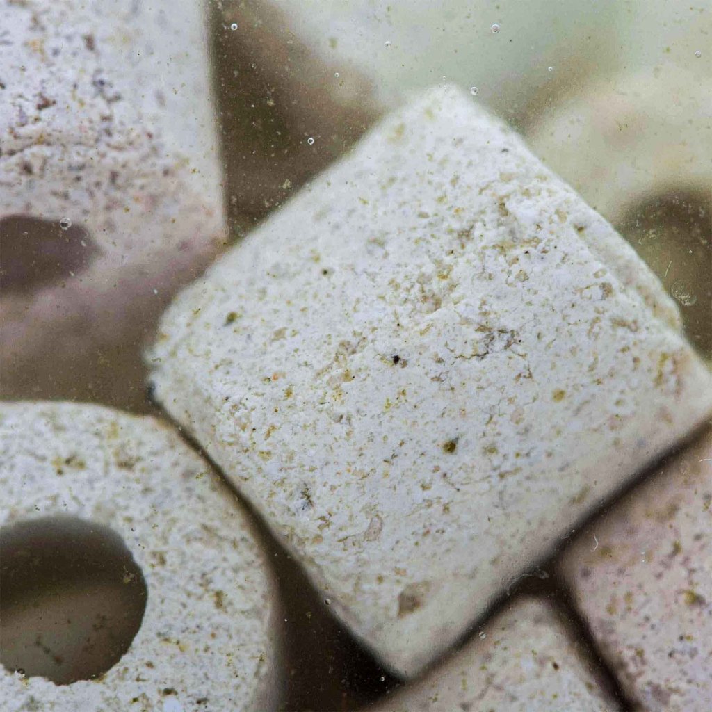 Live Aquarium Bacteria Starter Culture – Aquarium Co-Op