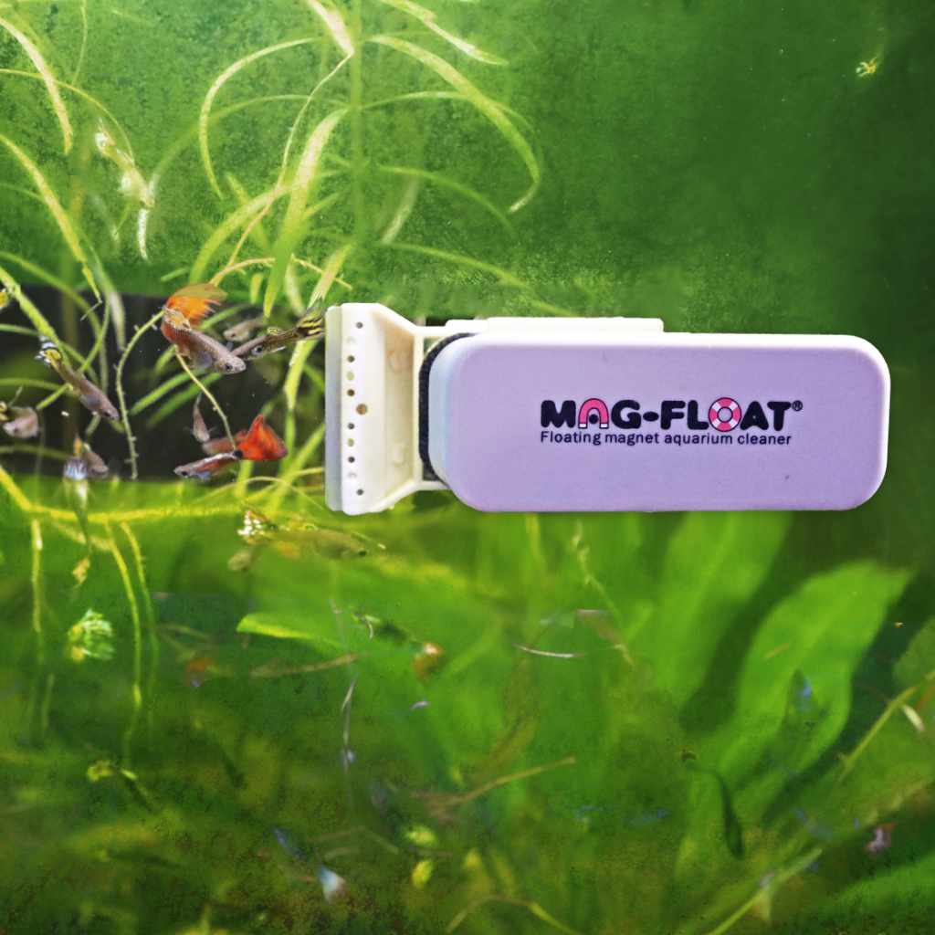Limpiacristales Mag Float  Limpieza para acuarios – Jufor Mundo Animal