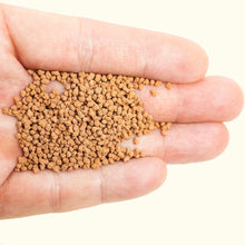 Load image into Gallery viewer, Magic Nuggets - Aquarium Co - Op
