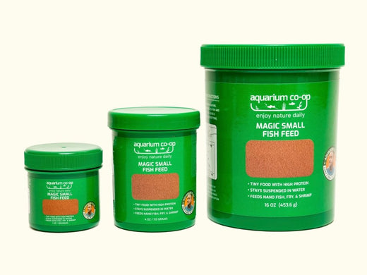 magic-small-fish-feed-6913144