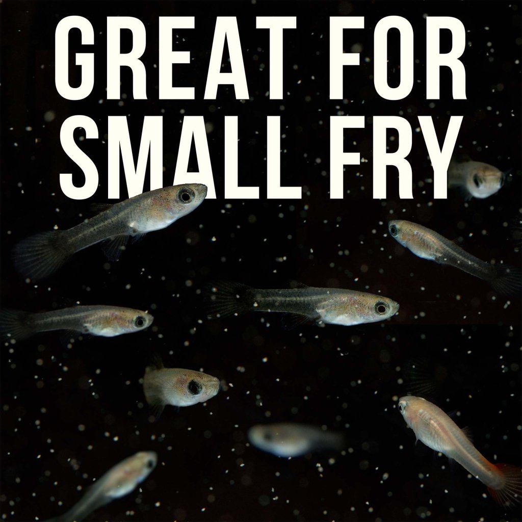 Magic Small Fish Feed | Aquarium Co-Op Fish Food for Small Fish, Fry ...