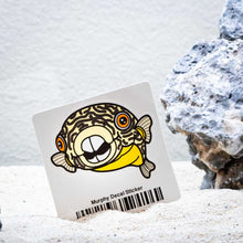 Load image into Gallery viewer, Aquarium Co-Op Merchandise Murphy Decal Sticker
