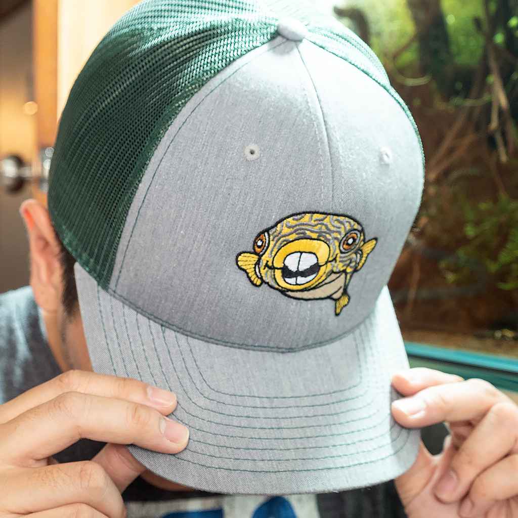 Murphy Mesh Snapback Hat - Aquarium Co - Op