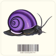 Load image into Gallery viewer, Aquarium Co-Op Merchandise Mystery Snail Decal Sticker
