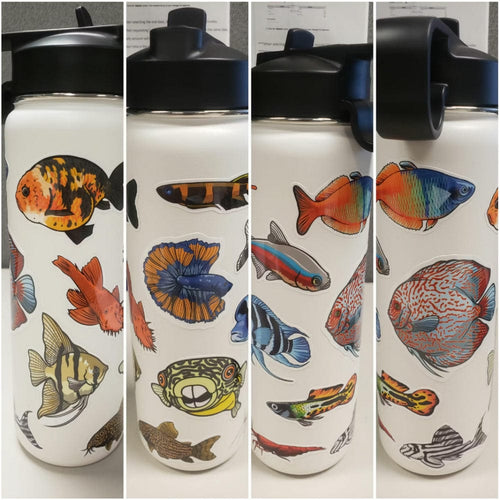 Aquarium Co-Op Merchandise Mystery Sticker Bundle