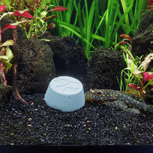 Load image into Gallery viewer, Central Pet Fish Food Pleco Banquet Block
