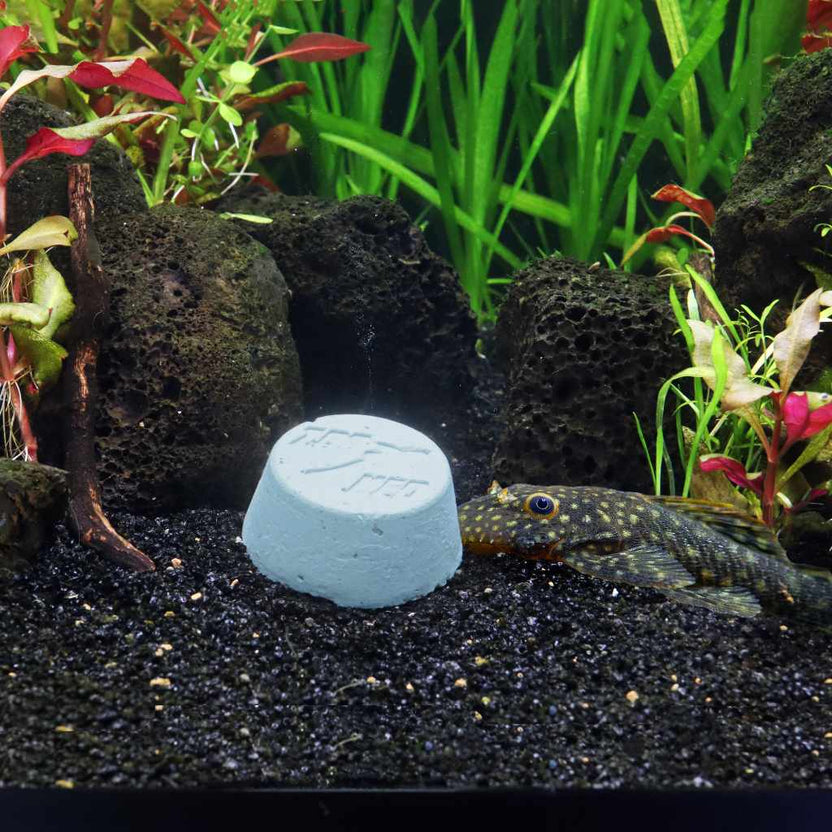 Pleco Banquet Block Aquarium Fish Food for Plecos & Invertebrates