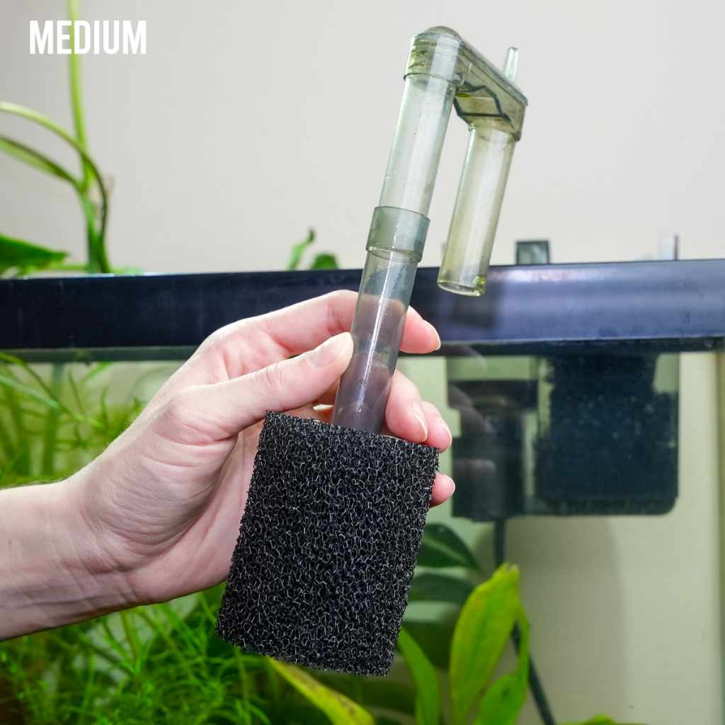 pre-filter-sponge-1382346