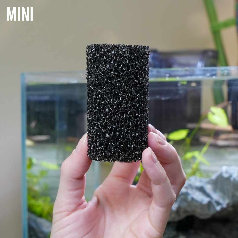 Intake PreFilter Sponges Aquarium Filter Accessory for Fish Tanks Aquarium CoOp