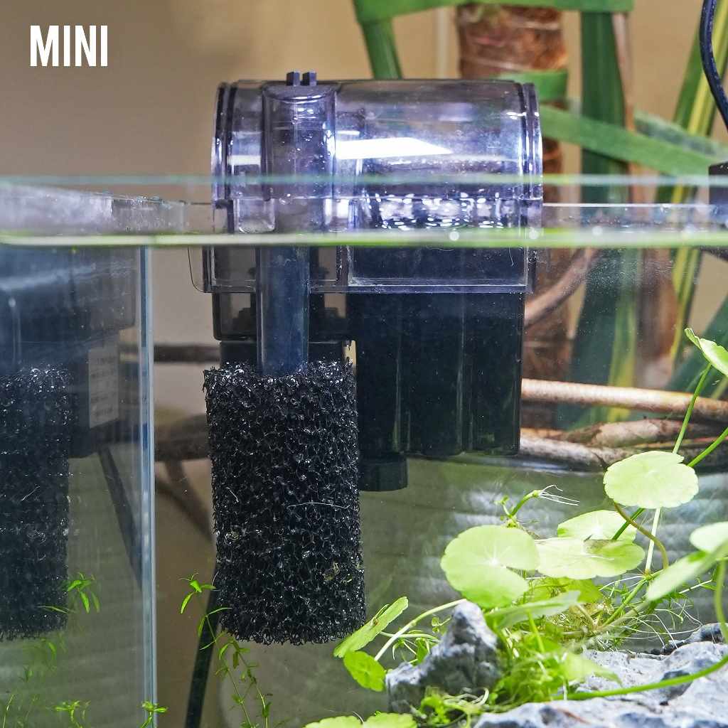Intake Pre-Filter Sponges  Aquarium Filter Accessory for Fish Tanks –  Aquarium Co-Op