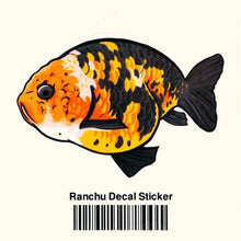 Load image into Gallery viewer, Ranchu Decal Sticker - Aquarium Co - Op
