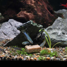 Load image into Gallery viewer, Repashy Community Plus - Aquarium Co - Op
