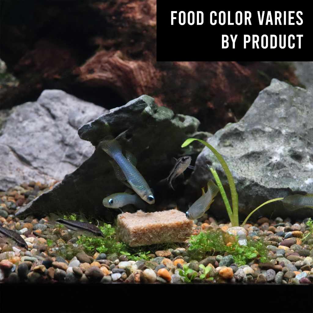 Repashy Morning Wood - Aquarium Co - Op