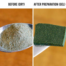 Load image into Gallery viewer, Repashy Soilent Green - Aquarium Co - Op
