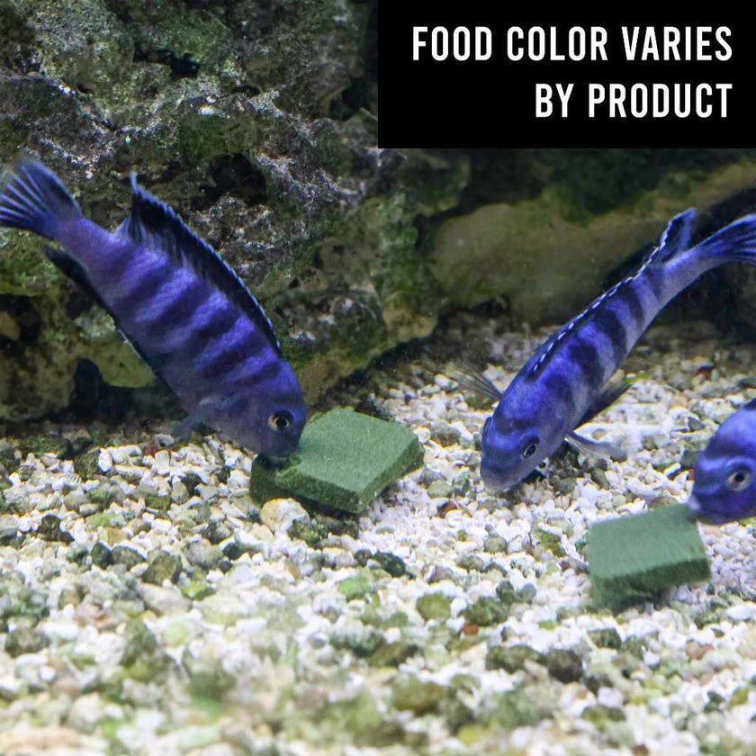 repashy-super-gold-8765835