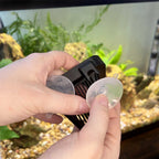 Replacement Ziss Suction Cups (2-pack) - Aquarium Co-Op