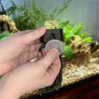 Replacement Ziss Suction Cups (2-pack) - Aquarium Co-Op