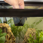 Replacement Ziss Suction Cups (2-pack) - Aquarium Co-Op