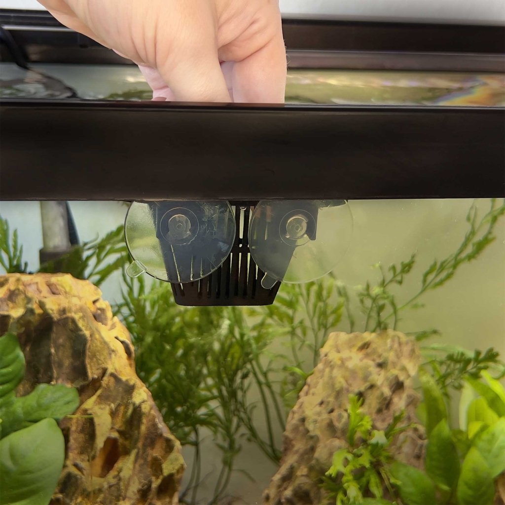 Replacement Ziss Suction Cups (2-pack) - Aquarium Co-Op