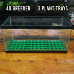 RPP Potted Plant Tray - Aquarium Co - Op