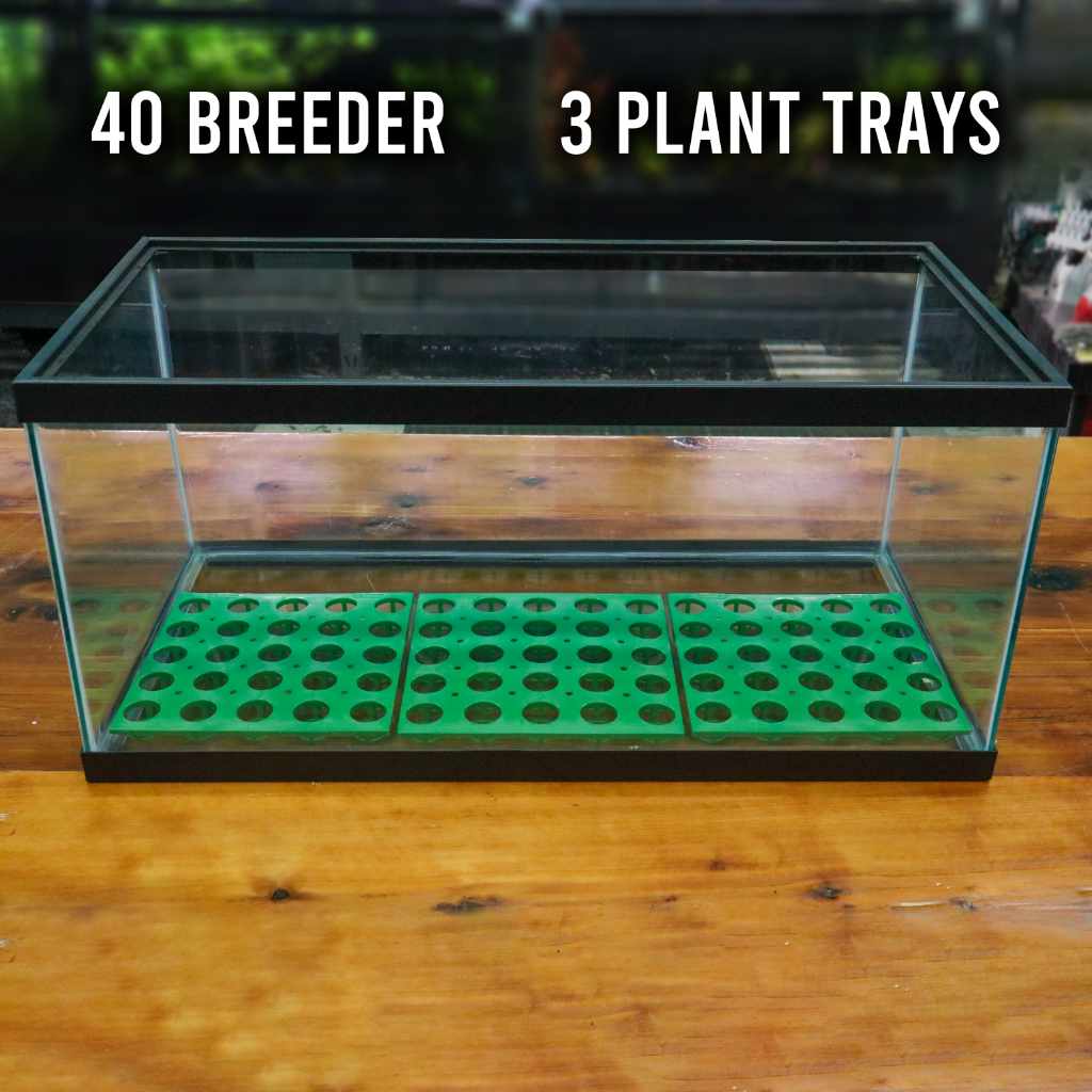 RPP Potted Plant Tray - Aquarium Co - Op