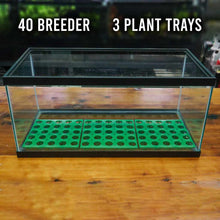 Load image into Gallery viewer, Aquarium Co-Op Plant Supplies RPP Potted Plant Tray
