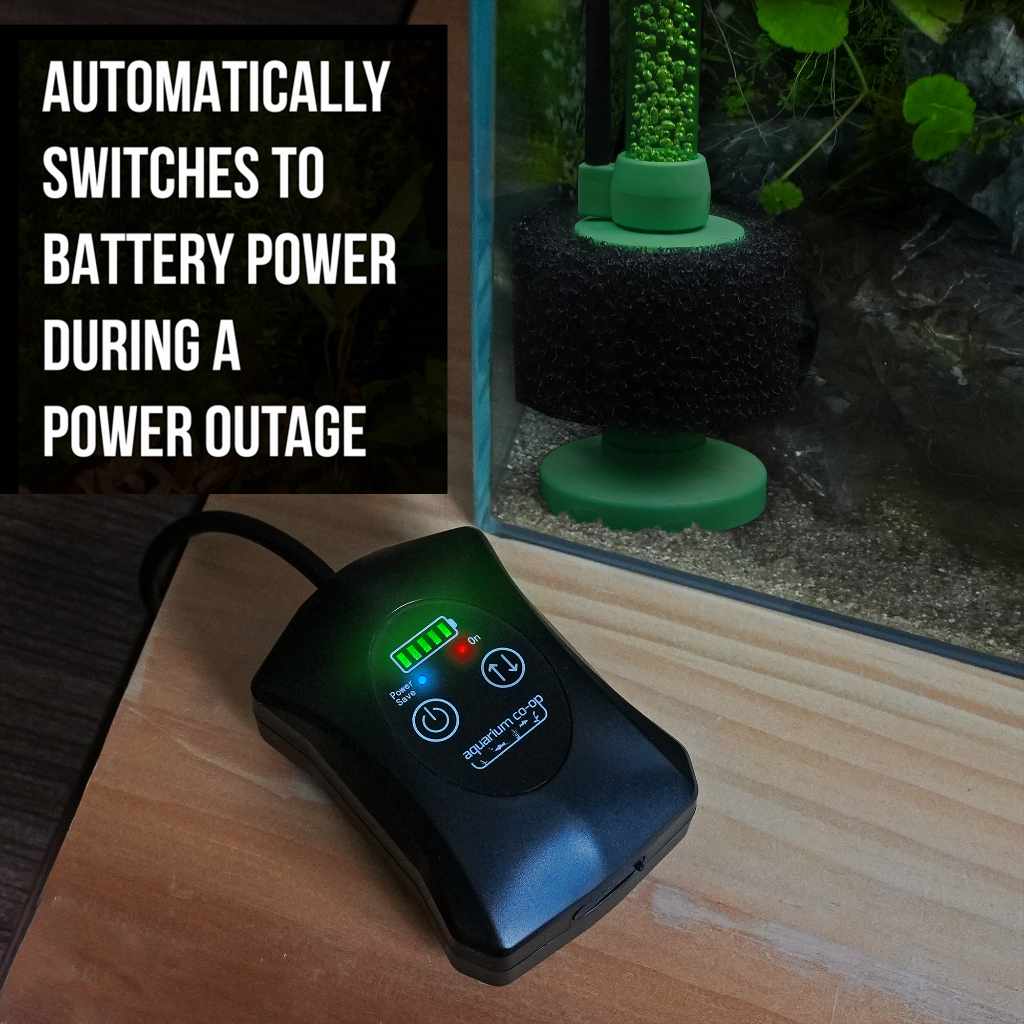 air pump planted aquarium Aquarium Co-Op Air Pump with Battery Backup