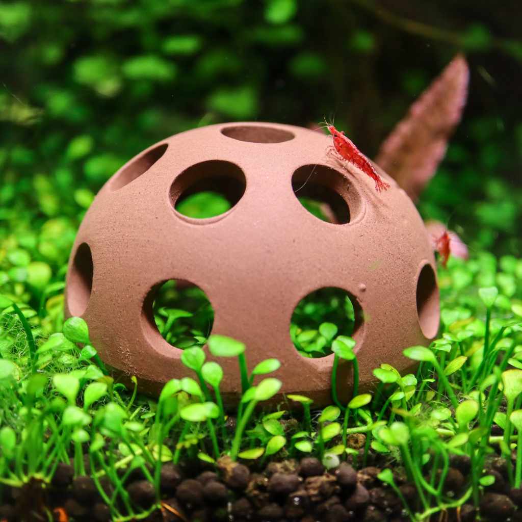 scratch-and-dent-aquarium-co-op-shrimp-cave-8126056