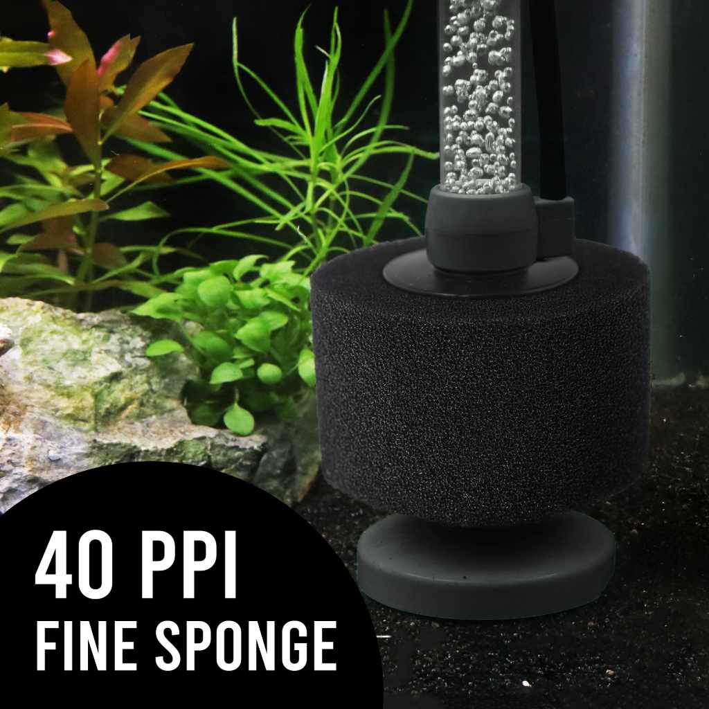 Black Easy Flow Sponge Filter (fine) Large