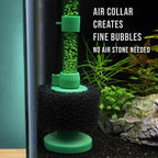 Scratch and Dent Black Easy Flow Sponge Filter (fine) - Aquarium Co - Op