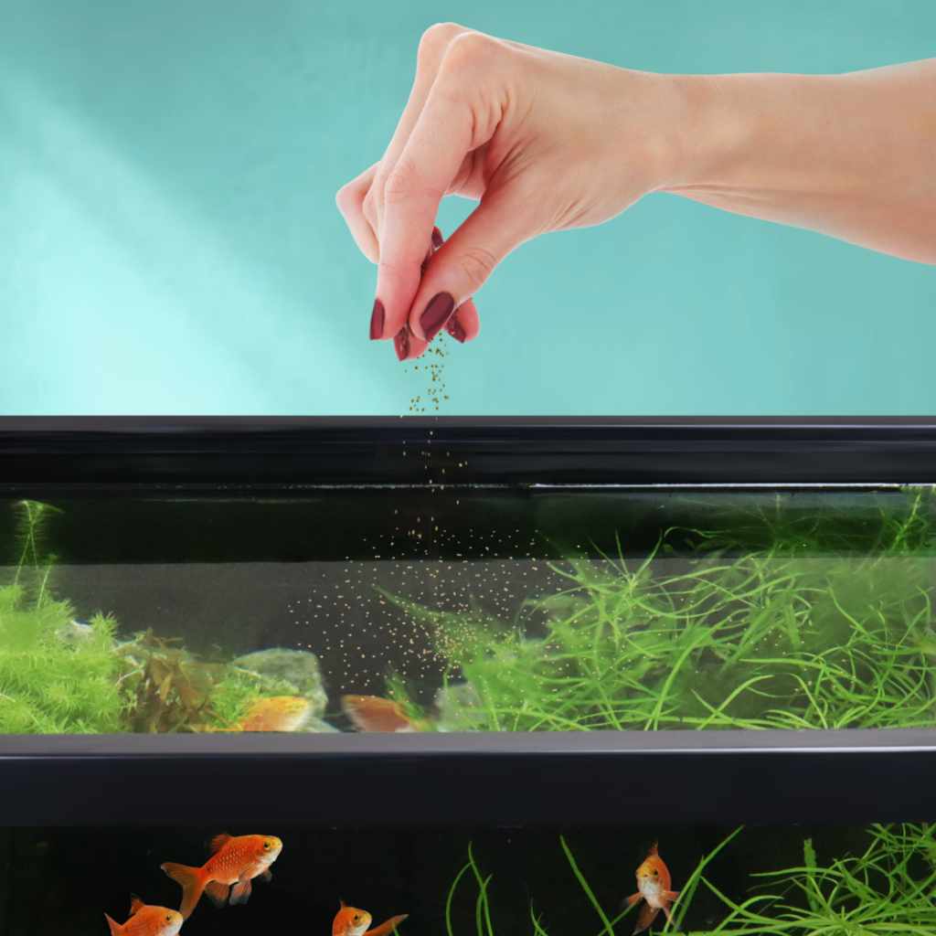 Easy Community Floating Pellets | Aquarium Co-Op Fish Food