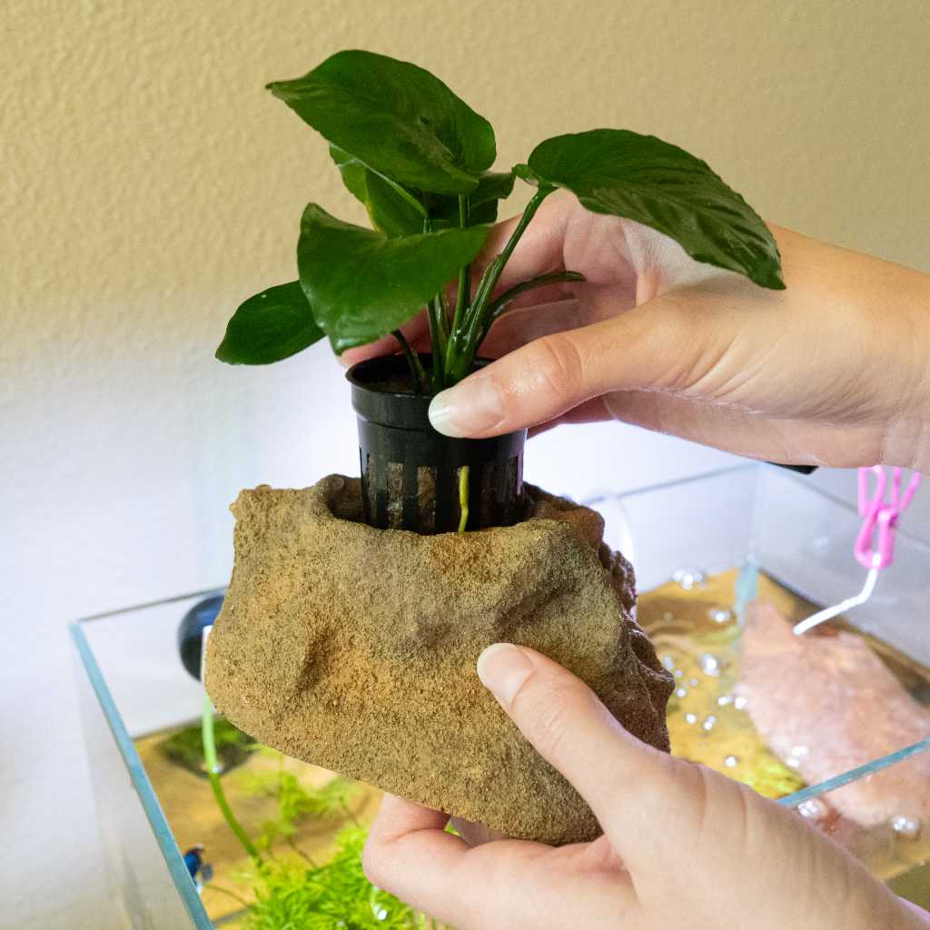 easy plant pots Aquarium Co-Op Easy Planter
