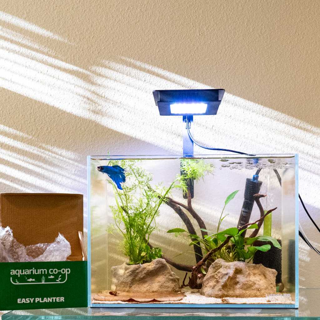 mesh aquarium plant pots Aquarium Co-Op Easy Planter