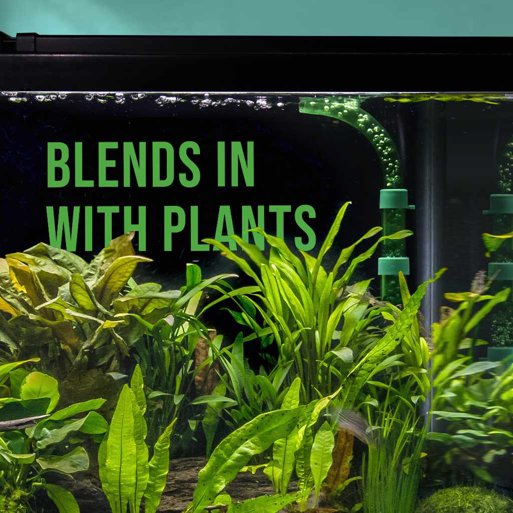 scratch-and-dent-green-easy-flow-sponge-filter-coarse-2289576