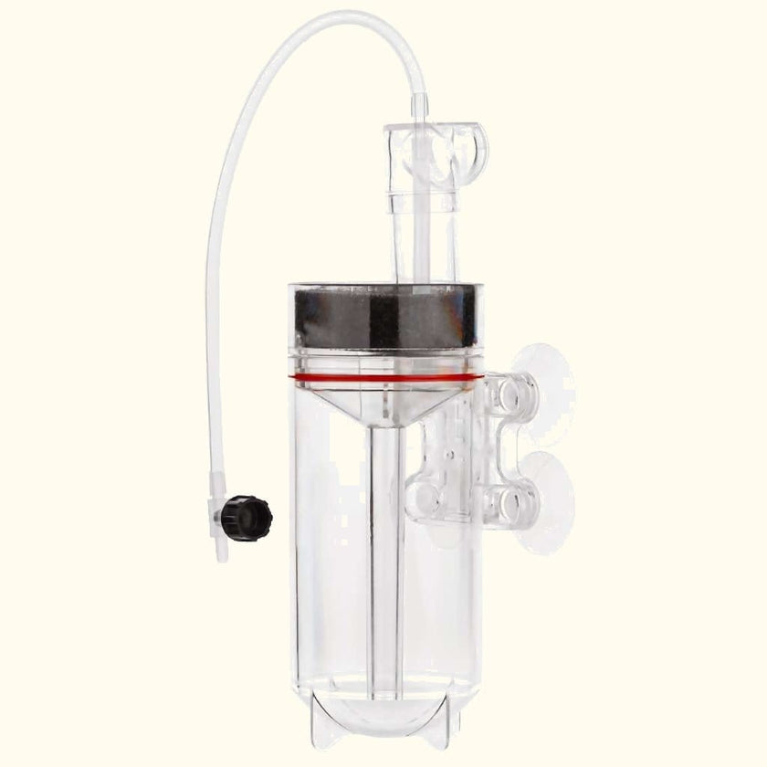 scratch-and-dent-ziss-egg-tumbler-3501979