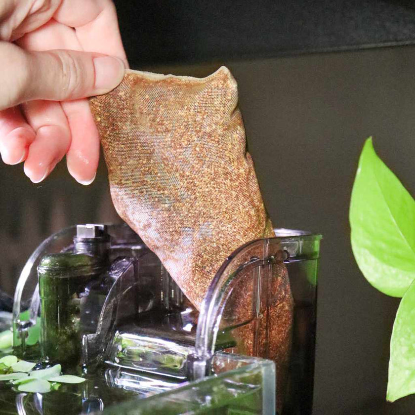 seachem-purigen-4937019