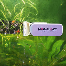 Load image into Gallery viewer, Mag-Float Cleaning Supplies Small &amp;amp; Medium Mag Float Scraper Blades Glass
