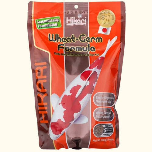 Rainier Fish Food Small Pellet Hikari Wheat Germ
